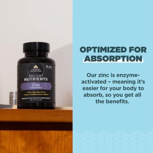 Suplemento de Probióticos y Zinc Ancient Nutrition, Apoya el Sistema Inmunológico y la Salud Digestiva, Sin OMG, 30 Cápsulas, Paleo y Keto Amigable - imagen 4