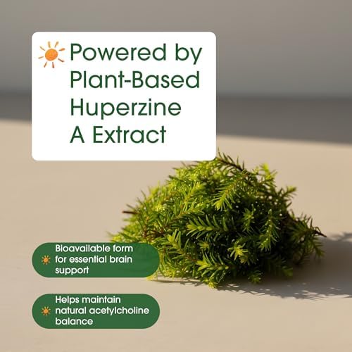NatureBell Huperzina A 400mcg - 240 Cápsulas - Suplemento Nootrópico Vegetal para el Cerebro, Enfoque y Memoria - Sin OGM y Sin Gluten - imagen 6