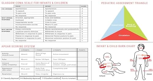 Cinta de Emergencia Dose By Growth 2026 Actualizada PALS para Soporte Vital Avanzado Pediátrico, Compatible con Broselow para Paramédicos y Enfermeras - imagen 5