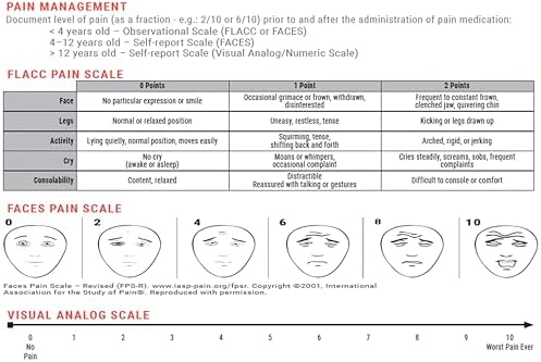 Cinta de Emergencia Dose By Growth 2026 Actualizada PALS para Soporte Vital Avanzado Pediátrico, Compatible con Broselow para Paramédicos y Enfermeras - imagen 6