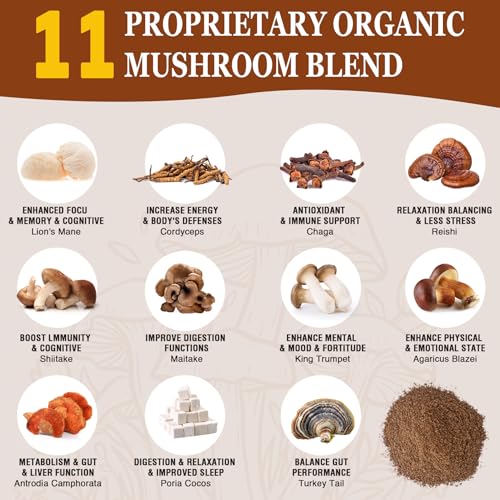 Café de Champiñones, 11 Hongos Orgánicos con Adaptógenos y Probióticos, Lion's Mane, Chaga, Reishi, Cordyceps, Café Instantáneo para Enfoque, Energía - imagen 3
