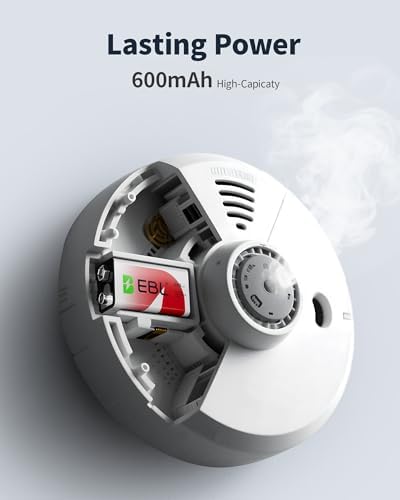 Baterías recargables EBL de 9V Li-ion con cargador, 600mAh, paquete de 2 celdas de 9 Voltios - imagen 5