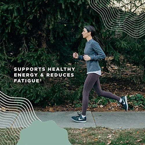 Suplemento Orgánico de Hongo Melena de León con Ashwagandha de Ancient Nutrition, Apoya Energía y Concentración, Reduce la Fatiga, Libre de Gluten y - imagen 5