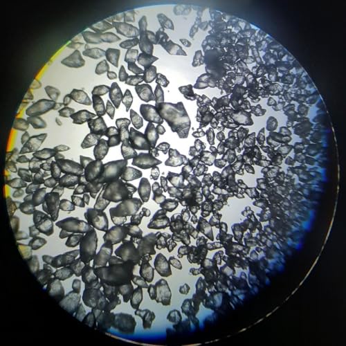 TAGATOSE, Granulado Puro, 2 lb, Prebiótico, Keto, Sustituto de Azúcar, Bajo en Calorías, No OGM - imagen 4