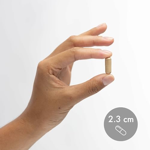 Complejo de Hongos Fermentados Orgánicos Dr. Mercola - Apoya la Salud Inmunológica y Celular - Hongos Enteros y Micelio - Sin OGM y Sin Gluten - 90 - imagen 6