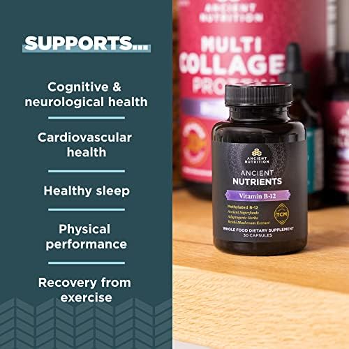 Suplemento de Vitamina B12 Ancient Nutrition, Apoya el Metabolismo Energético y la Salud del Sistema Nervioso, Hierbas Adaptógenas, Activado por - imagen 3