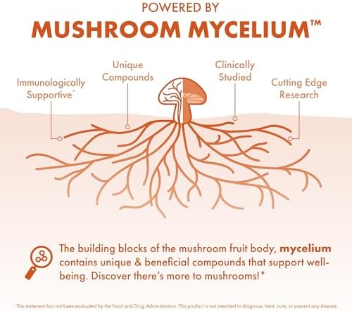 Cápsulas Host Defense MycoBotanicals Energy* - Suplemento de Energía y Respiración - Té Verde Herbal con Cordyceps, Reishi y Chaga - 60 Cápsulas (30 - imagen 4