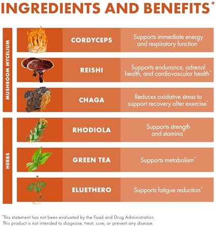 Cápsulas Host Defense MycoBotanicals Energy* - Suplemento de Energía y Respiración - Té Verde Herbal con Cordyceps, Reishi y Chaga - 60 Cápsulas (30 - imagen 6
