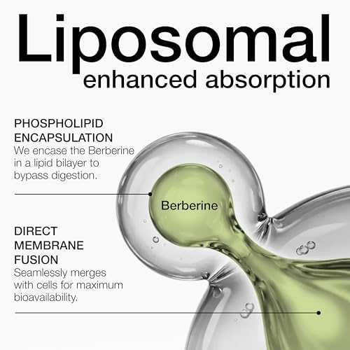 Toniiq Berberina Liposomal – Complejo de Alta Potencia 1,500mg con LipoAvail® – Soporte Metabólico y de Peso – Suplemento con Canela, Cardo Mariano y - imagen 3