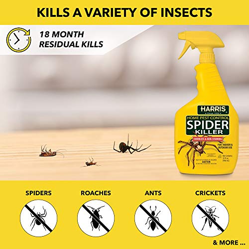 Insecticida Harris para Arañas, Spray Líquido Sin Olor y No Manchador (32oz, Paquete de 2) - imagen 2