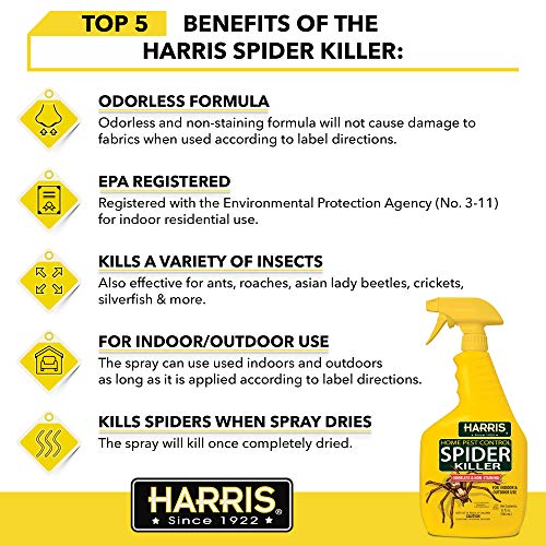 Insecticida Harris para Arañas, Spray Líquido Sin Olor y No Manchador (32oz, Paquete de 2) - imagen 3