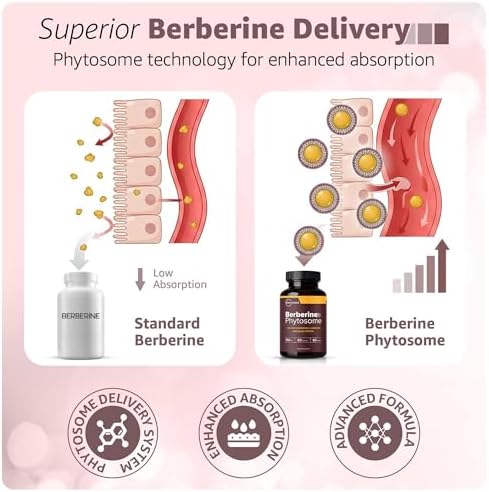 WellForge Berberina Phitosoma 550mg, 60 Cápsulas - con Canela de Ceilán (200mg), Cromo (200mcg) y Extracto de Pimienta Negra (10mg) - imagen 3