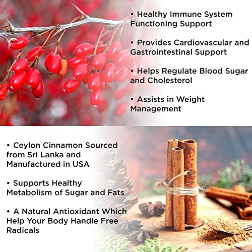 Gomitas VIDAVITE de Berberina con Canela de Ceilán — Sin Azúcar, 98% Puro y 10x Absorción — Suplemento Orgánico de 1200mg para Control de Peso, - imagen 5