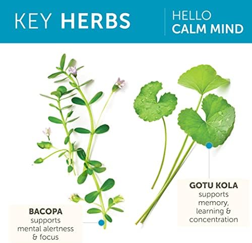 Suplemento Herbal Himalaya Hello Calm Mind con Bacopa, L-Theanina y Gotu Kola, Apoya la Concentración y la Relajación, Vegano, Sin Gluten, 60 Cápsulas - imagen 4