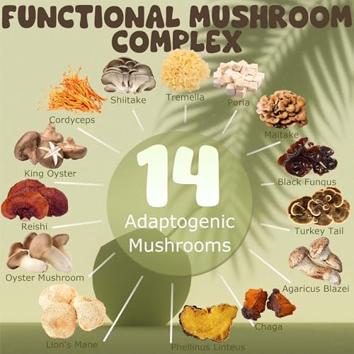 Crema de Coco con Champiñones 15 en 1 | Apoyo Inmunológico con Adaptógenos Lion's Mane, Cordyceps, MCT y Ashwagandha | Vegana, Keto | Energía y - imagen 2