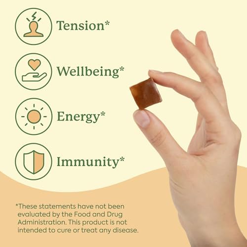 Plant People WonderBee Super Mushroom Chews de Miel Manuka - Polen de Abeja, Melena de León y Cordyceps - Apoyo Cognitivo, Energía e Inmunidad - - imagen 5