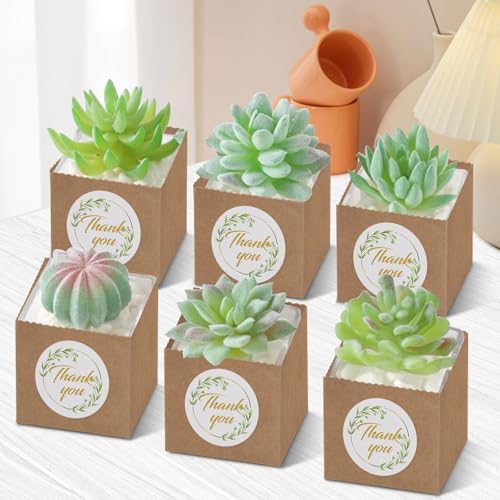 Beupy 60 Pzas de Bolsas de Papel Kraft para Suculentas de 2.5 Pulgadas con Manijas y Etiquetas de Agradecimiento para Bodas, Baby Showers y - imagen 7