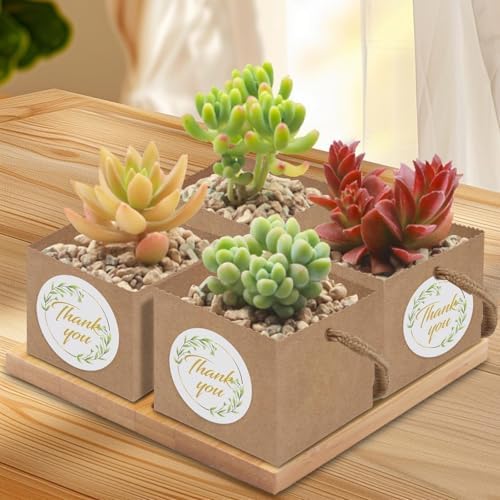 Beupy 60 Pzas de Bolsas de Papel Kraft para Suculentas de 2.5 Pulgadas con Manijas y Etiquetas de Agradecimiento para Bodas, Baby Showers y - imagen 8