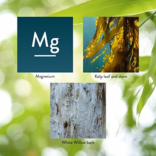 Magnesio de Nature's Sunshine, 250 mg, 180 Tabletas | Apoya el Sistema Nervioso y Estructural, Ayuda a Relajar Músculos y Aumentar Energía - imagen 5