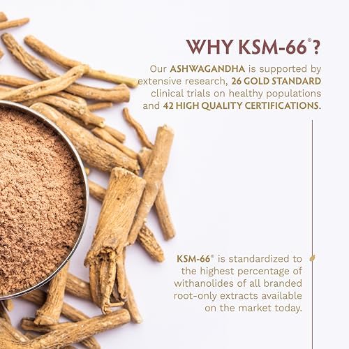 TRIBE ORGANICS Suplemento Ayurvédico Vegano de Ashwagandha KSM 66 en Polvo Orgánico - Apoyo para el Enfoque y el Ánimo, 600mg, 60 Cápsulas - imagen 7