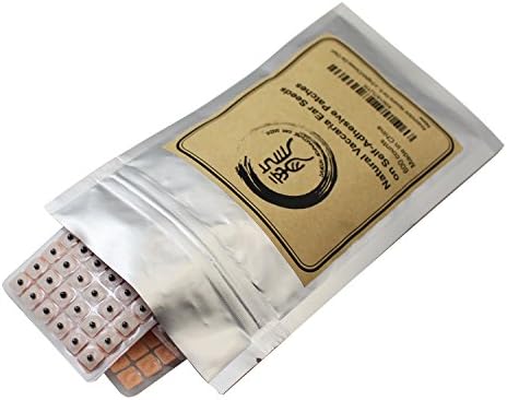 Kit de Acupuntura con Semillas de Oído Multi-Condición 600 Piezas, eBook de Colocación, Sonda, Gráfico de Acupresión y Pinzas - imagen 5