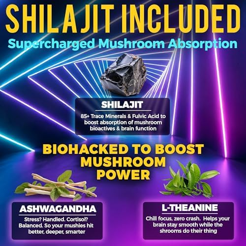 Gomitas de Champiñones de Nueva Generación con Ashwagandha y L-Theanina - Suplemento de Champiñones 10x con Shilajit - Gomitas Nootrópicas de Melena - imagen 3