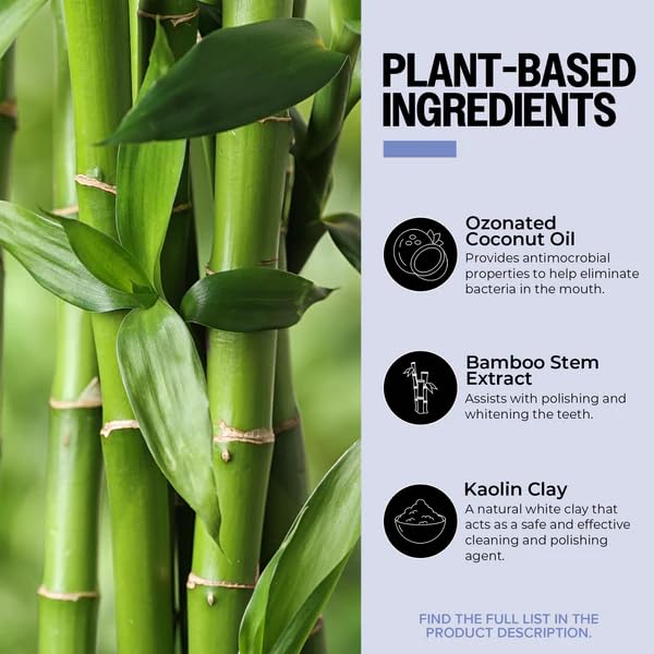 Pasta de Dientes en Polvo PurO3 Ozonizada – Libre de Flúor, Orgánica, Remineralizante – Blanqueador Natural y Removedor de Placa – Cuidado Dental con - imagen 3