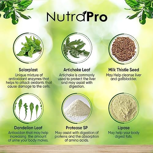 Fórmula de Salud Hepática y Soporte para la Vesícula Biliar - Detox y Reparación del Hígado con Extracto de Alcachofa, Cardo Mariano y Hoja de Diente - imagen 5
