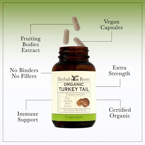 Suplemento Orgánico de Hongo Cola de Pavo Herbal Roots - Extracto de Cuerpos Frutales - Apoyo Inmunológico - 60 Cápsulas Veganas No GMO - imagen 4