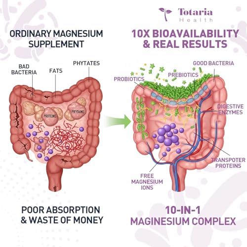 Suplemento Complejo de Magnesio 10 en 1 con Probióticos, Prebióticos y Enzimas Digestivas, 100 Mil Millones CFU para Mujeres, Alta Absorción, Vegan y - imagen 6