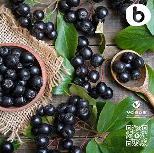 Cápsulas Orgánicas de Aronia – Suplemento de Fruta de Chokeberry Negro con Antocianinas y Polifenoles Naturales – Apoya el Sistema Inmunológico – - imagen 6