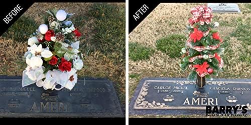 Sistema de Cuidado de Marcadores de Cementerio Barry's Restore It All - ¡La Sensación de Internet que Limpia y Restaura Marcadores de Cementerio! - imagen 5