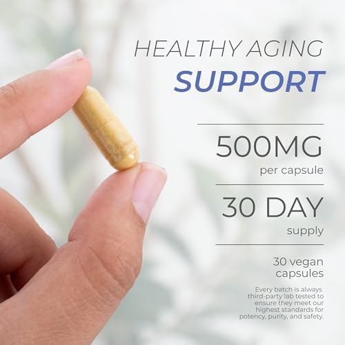 Suplemento de Fisetina Neurogan 500MG - 30 Cápsulas 98% Puro | Antienvejecimiento y Salud Cerebral | Suplementos para Memoria y Concentración, - imagen 3