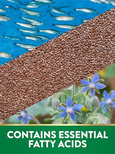 Triple Omega 3 6 9 de Nature's Truth | 3600mg | 200 Cápsulas Blandas | Aceites de Pescado, Linaza y Borraja | Suplemento Sin OGM y Sin Gluten - imagen 4