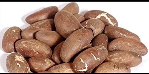 Nuez de Kola Amarga Garcinia Kola Cola 1 lb - imagen 1