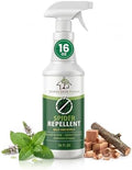 Spray Repelente de Arañas Donaldson Farms, Fórmula Natural con Menta y Madera de Cedro, Elimina Arañas Comunes, Viudas Negras y Reclusas, 16 FL OZ - imagen 1