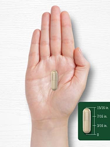 Extracto de Polen de Flores Graminex Carlyle | 1000 mg | 60 Cápsulas | Suplemento No GMO y Libre de Gluten - imagen 7