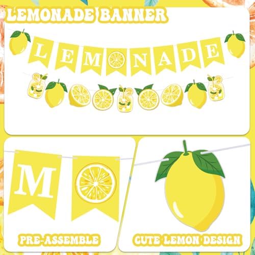 Suministros para Puesto de Limonada 50 Pzs Vasos con Tapa y Popotes, 2 Banners, Pizarra de Madera y Stickers de Limón para Decoración de Fiesta de - imagen 3