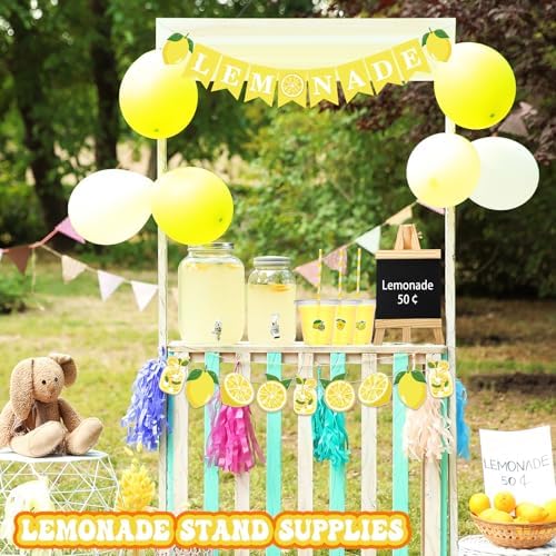 Suministros para Puesto de Limonada 50 Pzs Vasos con Tapa y Popotes, 2 Banners, Pizarra de Madera y Stickers de Limón para Decoración de Fiesta de - imagen 5