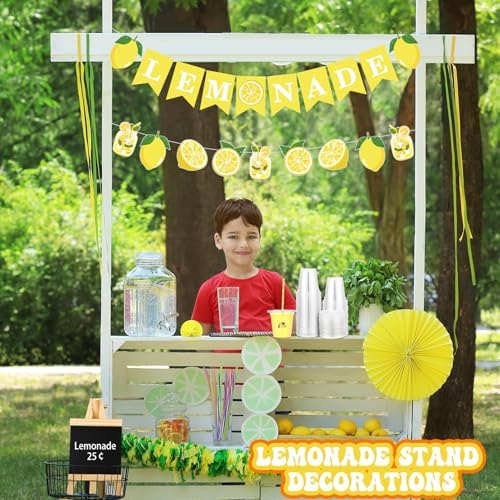 Suministros para Puesto de Limonada 50 Pzs Vasos con Tapa y Popotes, 2 Banners, Pizarra de Madera y Stickers de Limón para Decoración de Fiesta de - imagen 6