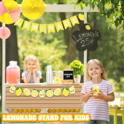 Suministros para Puesto de Limonada 50 Pzs Vasos con Tapa y Popotes, 2 Banners, Pizarra de Madera y Stickers de Limón para Decoración de Fiesta de - imagen 7