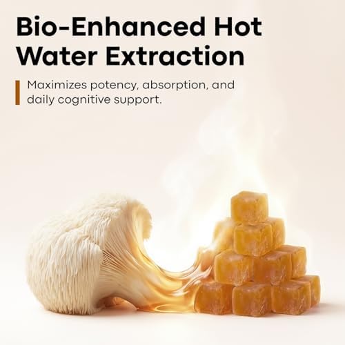 Gomitas de Hongo Lion’s Mane de Erth Wellness – 1000mg de Extracto por Porción – Apoyo para el Cerebro y la Concentración – Nootrópico Diario – - imagen 5