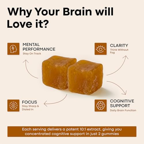 Gomitas de Hongo Lion’s Mane de Erth Wellness – 1000mg de Extracto por Porción – Apoyo para el Cerebro y la Concentración – Nootrópico Diario – - imagen 8