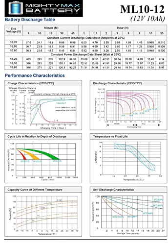 Batería de Reemplazo Mighty Max 12V 10AH SLA para 13447, 134471 - imagen 7