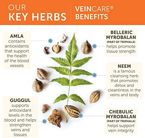 Himalaya VeinCare - Suplementos Herbales para el Apoyo Venoso y la Circulación - Vegano, No GMO, Sin Gluten, 300 mg, 60 Cápsulas - imagen 4