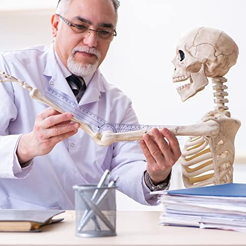 Juego Completo de Goniómetros ASA TECHMED para Terapia Ocupacional y Física - Incluye Goniómetros de 6, 8 y 12 Pulgadas, Cinturón de Marcha, Cintas - imagen 8