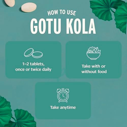 Banyan Botanicals Gotu Kola Orgánico – Suplemento Nootrópico para Claridad Mental, Memoria y Enfoque – Adaptógeno para Alivio del Estrés – 90 - imagen 3