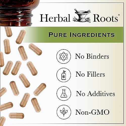 Cápsulas Orgánicas de Hierba de San Juan Herbal Roots | 450 mg por Porción | Sin Aglutinantes ni Rellenos No GMO | 60 Cápsulas Veganas - imagen 6