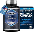 Suplemento Liposomal de NAD+ Naturgizer+ con Resveratrol, Vitamina B3 y TMG | Fórmula Real de NAD Plus | Apoyo Energético y Antienvejecimiento 4 en 1 - imagen 1