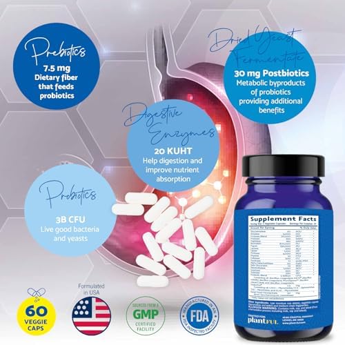 Probióticos y Enzimas Digestivas 4 en 1 - Salud Digestiva Completa para Hombres y Mujeres - Alivio de Gas y Distensión - 60 Cápsulas No GMO - imagen 4